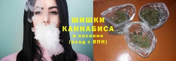 2c-b Белокуриха