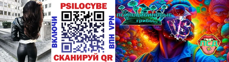 где можно купить   Гремячинск  Псилоцибиновые грибы ЛСД 